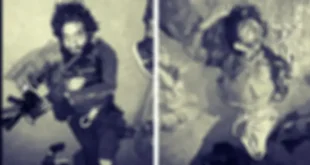 Picsart 24 10 21 10 28 26 534 1140x597