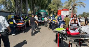 IMG 20241027 132507 455