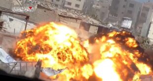 IMG 20241028 170256 094