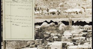 photo 2024 11 08 09 29 23