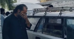 f848e0c2 12db 4c85 9335 2561f58dcb8b.jpg 1732194863