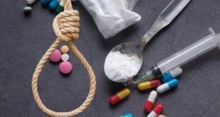 20241122 105354 0000