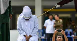 photo 2024 11 27 12 05 43