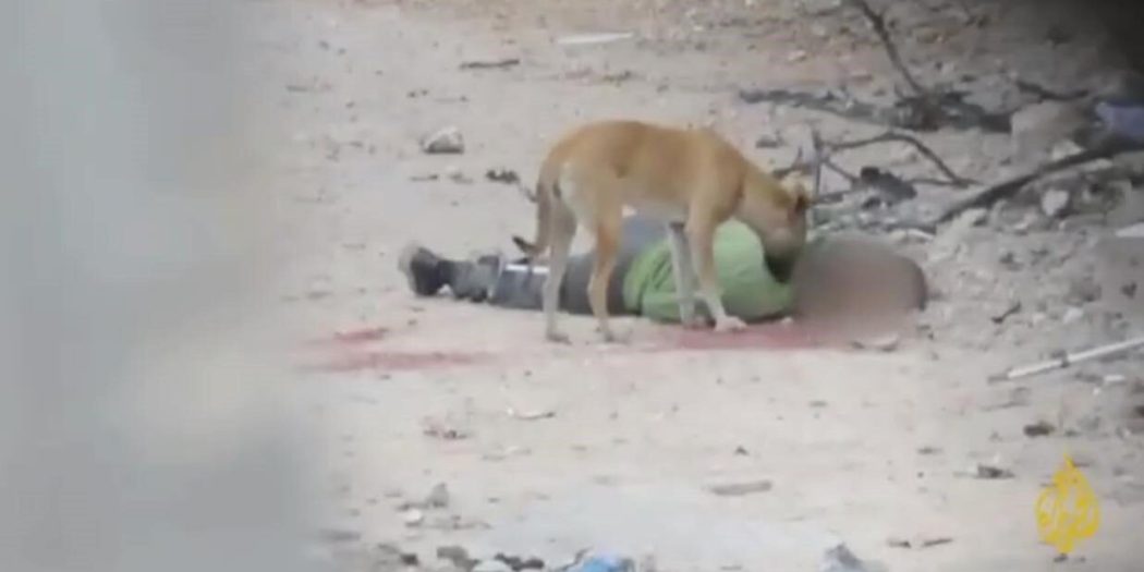 Vurulan Filistinlilerin cesetleri köpeklere yem olarak bırakılıyor!