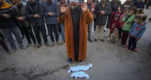 AP24364414647153 1735485895