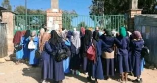 IMG 20241231 223819 515