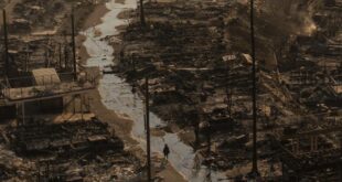 los angeles ap 2322378 2