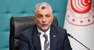 thumbs b c 604925e1352ac637919449033ea9b4ae