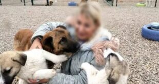 image 2025 01 29 12 43 24