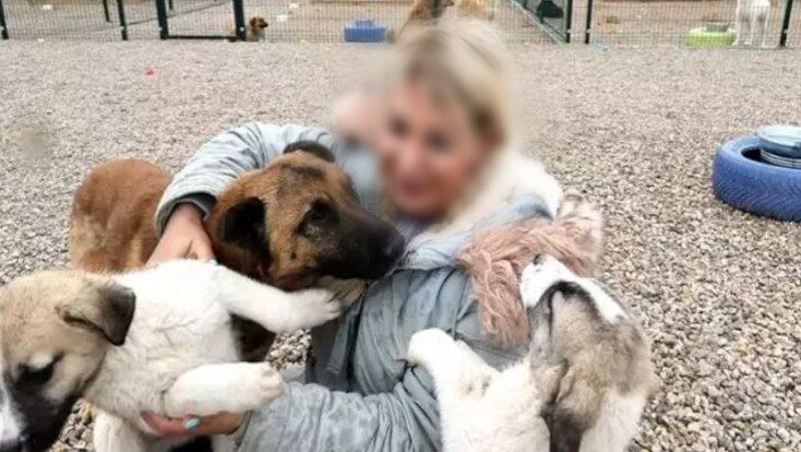Mama bağışları cebe aktı: Sözde “Hayvansever” çete çökertildi!