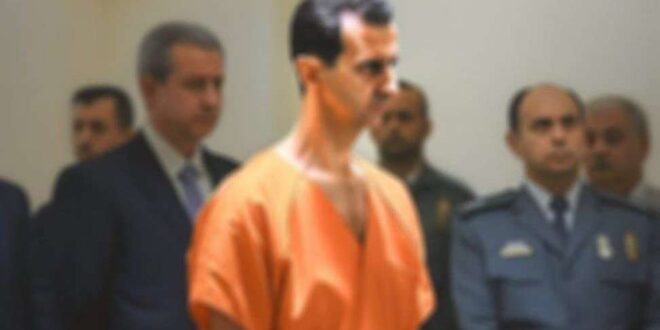 IMG 20250202 162630 313