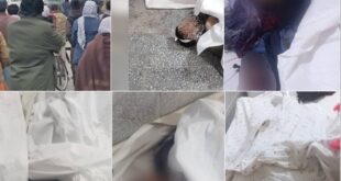 image 2025 02 11 15 23 10