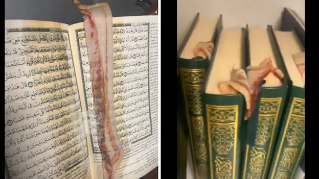 NjMzMjFlYQssGDtZaRdsHm9AbwMvTmJIOFh3SGlafF41SXhbaQonBigIKBopQikYOAosHTZCPgZiGz0DaRp RSkTPhoqDTdFKBcvDyJDK110SH9dc1hjXnkYe0dyVCsJYBguWCRBLFJ7GXtZdV5 D31Ibxc