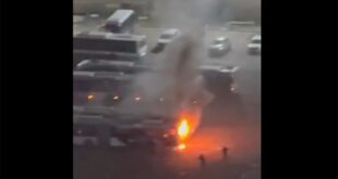 thumbs b c 7a95b71b3983c12daf95de1a2818c591