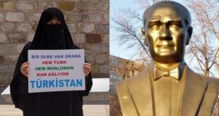 20250316 230338 0000