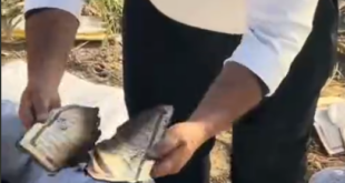 Ekran görüntüsü 2025 03 26 035930