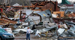 image 2025 03 16 14 11 54