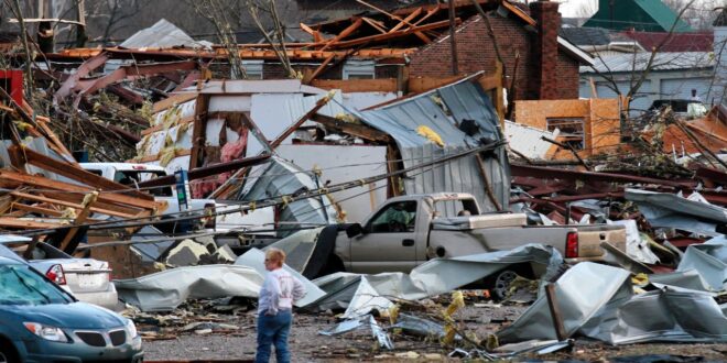 image 2025 03 16 14 11 54