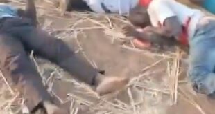 image 2025 03 15 15 00 09