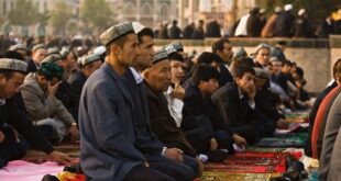 image 2025 03 13 19 10 26