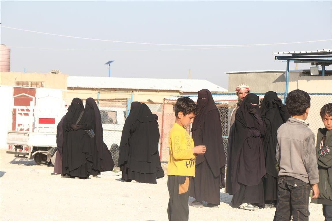 IMG 20250313 003603 335 IMG 20250313 003603 335