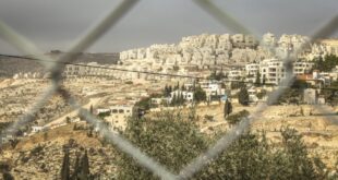 image 2025 03 29 19 02 31