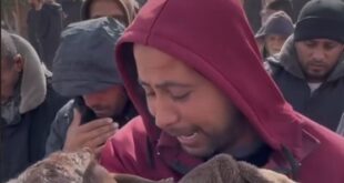 image 2025 03 21 18 18 44 (0)