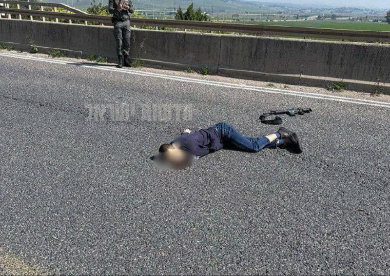 image 2025 03 24 15 59 41 image 2025 03 24 15 59 41