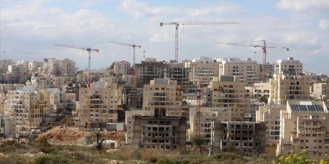 image 2025 03 13 22 25 28