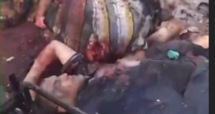 image 2025 03 26 21 41 47