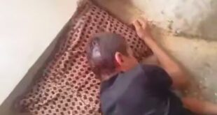 Ekran görüntüsü 2025 03 29 074222