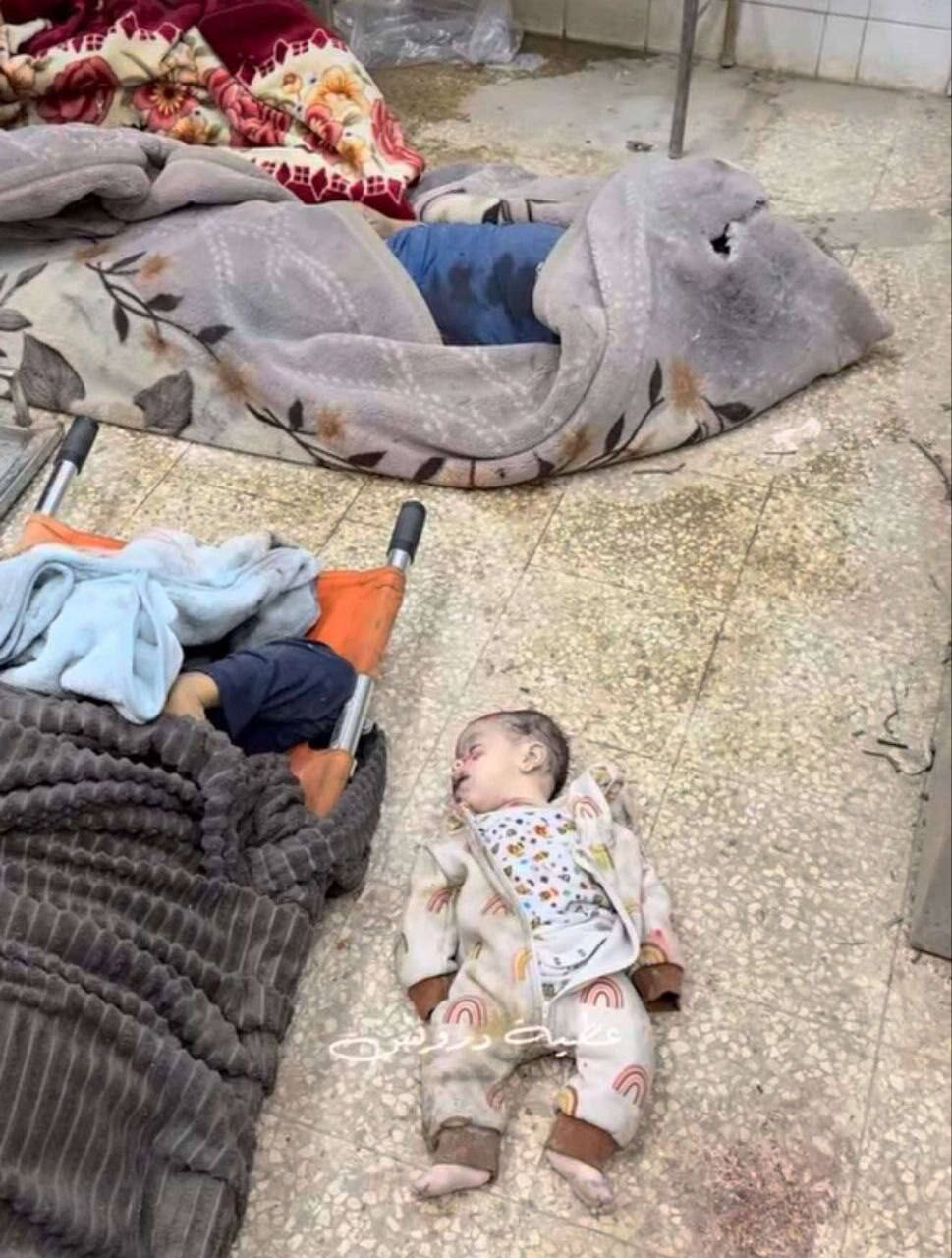 IMG 20250318 063015 692 IMG 20250318 063015 692