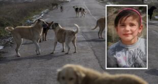 image 2025 03 22 14 11 47