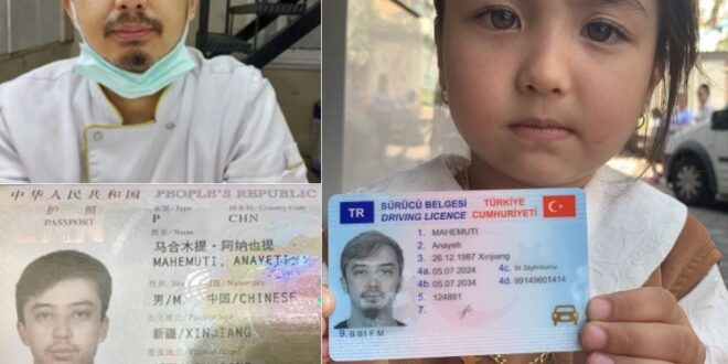 image 2025 03 13 14 32 57