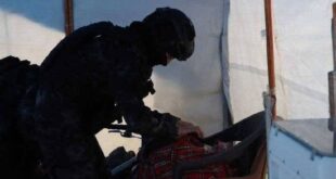 5447621233190499334 120