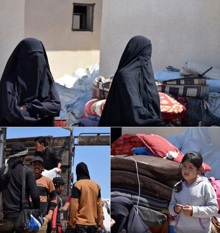 image 2025 04 28 17 58 07 image 2025 04 28 17 58 07