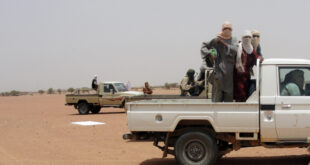 Photo taken on August 7, 2012 shows figt