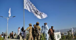 image 2025 04 14 16 25 52