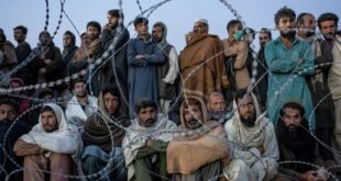 image 2025 04 05 16 31 00