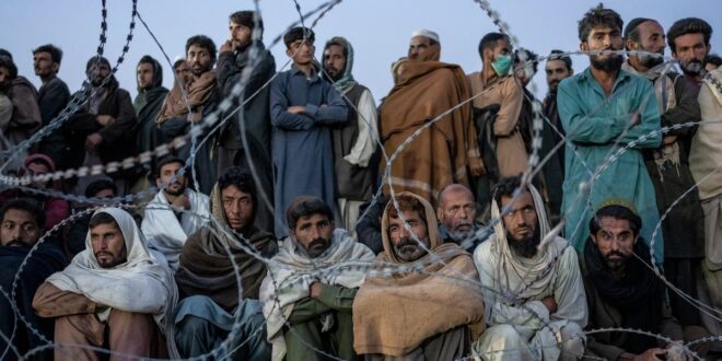 image 2025 04 05 16 31 00