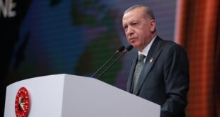 thumbs b c 66e384d79b0fbf21f4dcec894640baf9