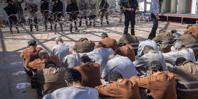 image 2025 04 29 09 52 25