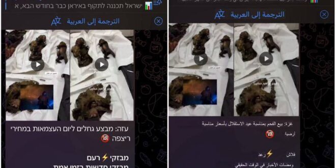 photo 2025 04 19 07 00 16