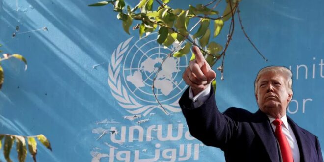 image 2025 04 26 20 10 13