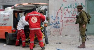 image 2025 04 05 16 11 05