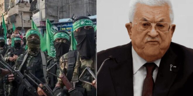 image 2025 04 27 23 04 12