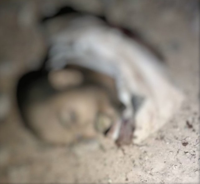 image 2025 04 14 15 19 51 image 2025 04 14 15 19 51