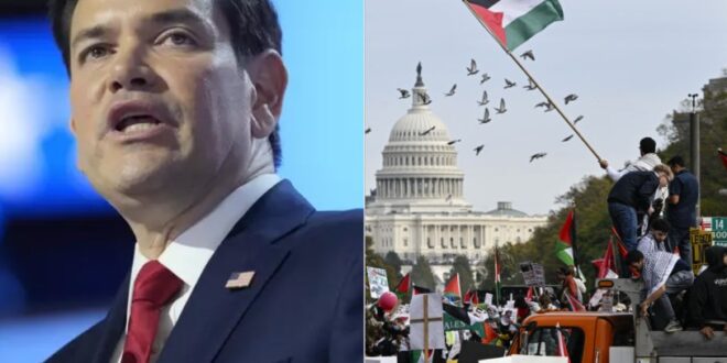 image 2025 04 19 16 08 33