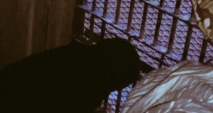 image 2025 04 21 15 21 05