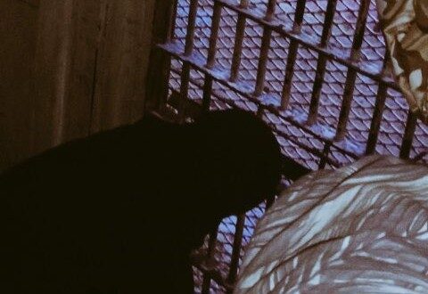 image 2025 04 21 15 21 05